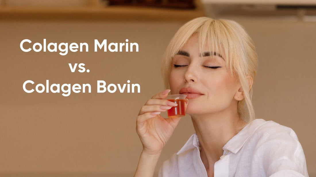 Colagen Marin vs. Colagen Bovin: Diferențe și Beneficii explicate - 21Collagen.com