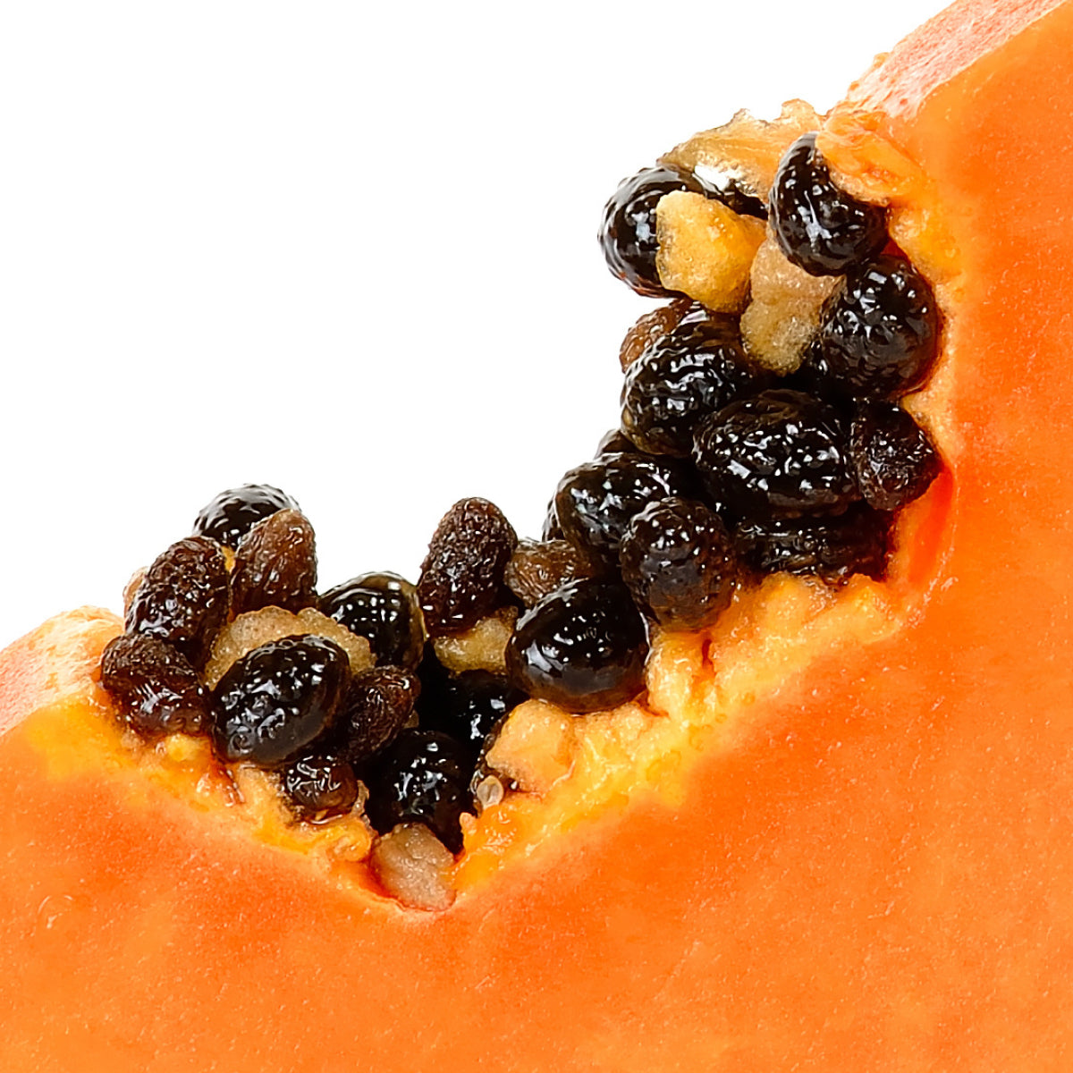Extracto de Papaya