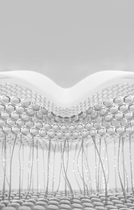 Palmitoyl Tripeptide-8